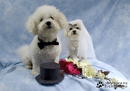 ���������� :)