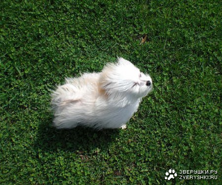 ��������� ������! :)