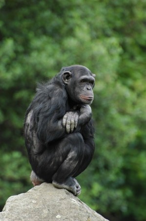 ��������� :)