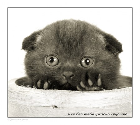 ���������� �������������� ����� (16 ����)