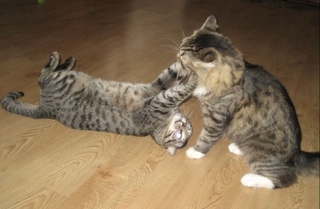 �� ����� ;)