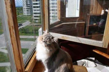 �������� ������ � ������� (6 ����)