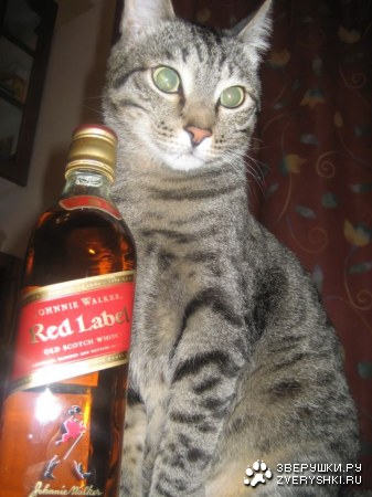 � �� ������... :)