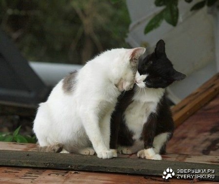 ������� ��� :)