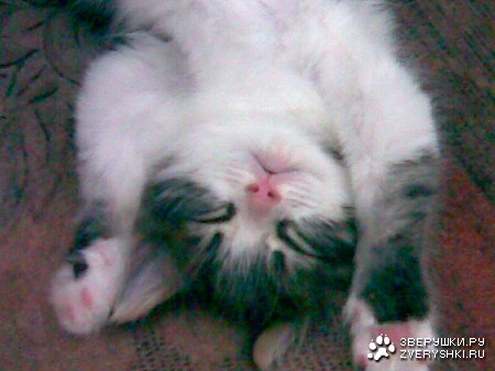 ���� ����, ������ �� ������ :)