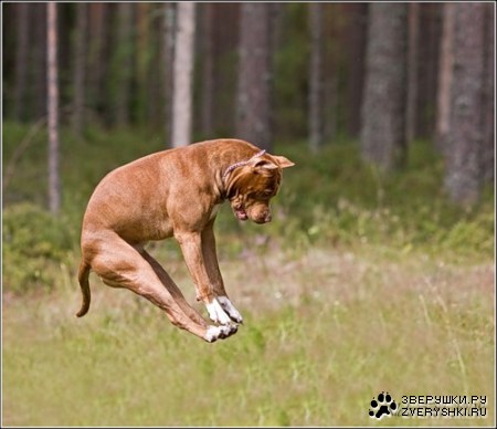 ��������� ������ :)