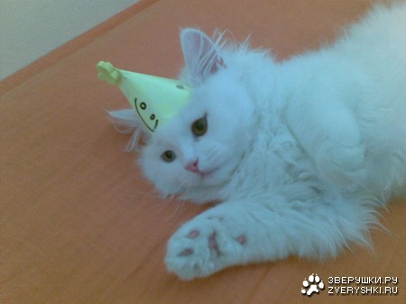 � � ��� ���������! (3 ����)