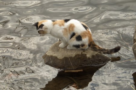 ������ �����... :)