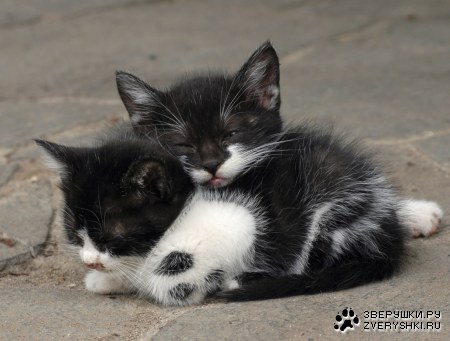 ��������� :)