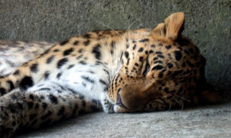 ������� � ��� ;)