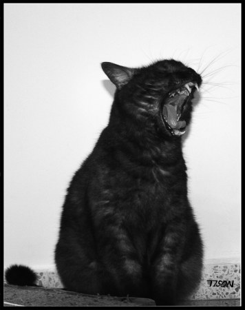 ���� ����� ������!