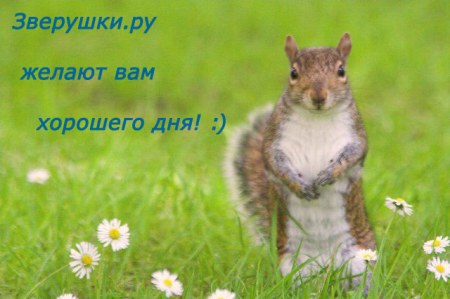 ���������� ��� ����������! :)