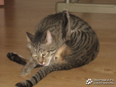 �������� �� ����� � ������� :)