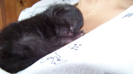 ����� ����� ;)