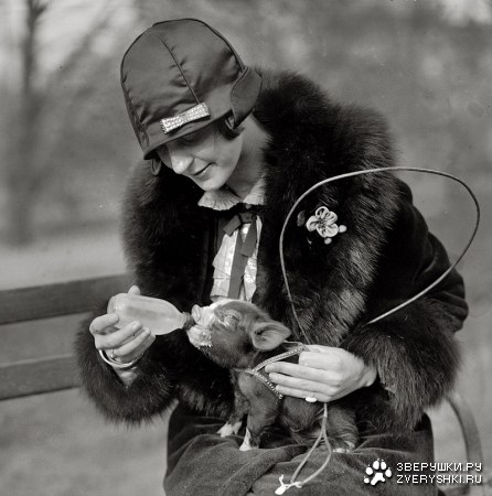 ����� ��������...