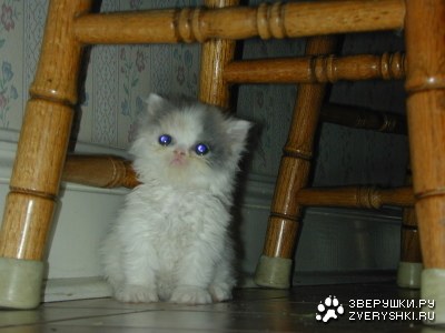 �������� ������� :)