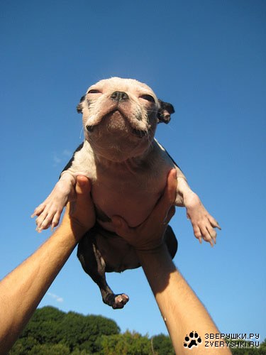 ����������� ������ (5 ����)