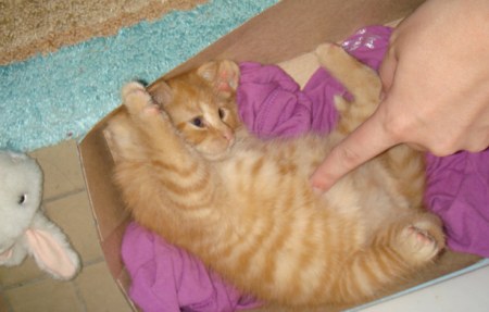 ��������, �����! :)