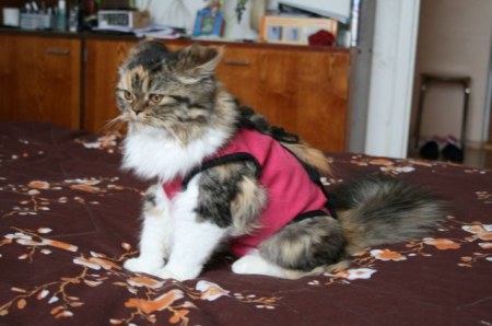 ��������� �������� :)