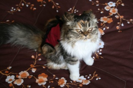 ��������� �������� :)