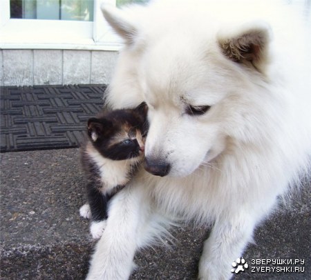 �������� ������� :)