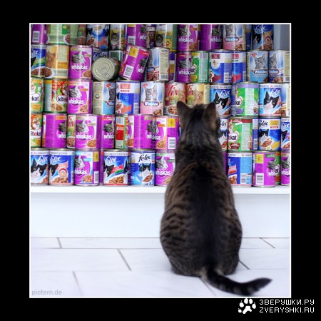 ����� �������� �����! :)