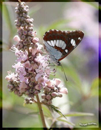 �������� �������