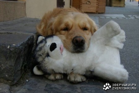 ��� ������� ������� :)