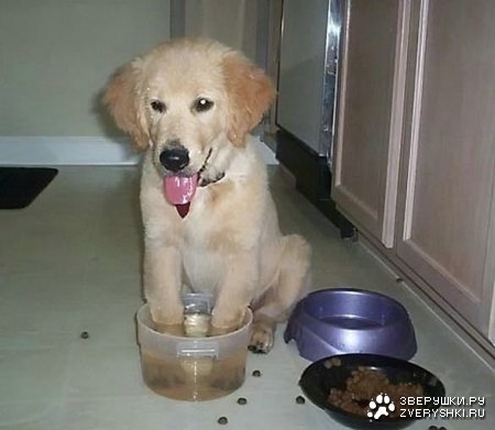 � ����� ������ ���� ����� ���� ;)