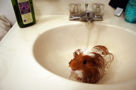 ������-�� � ������� :)