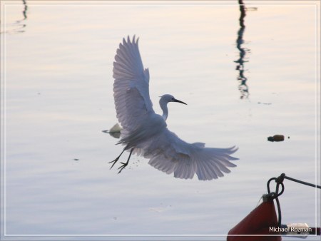 ������ �����!