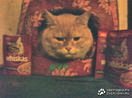 ����� � ������ :)