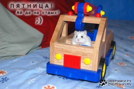 �������� ��� ��������! :)