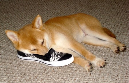 ������� ������� :)