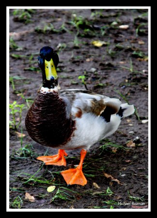 �������� ���� :)