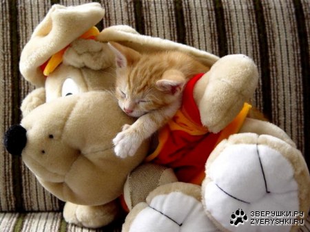 ������� ������� :)