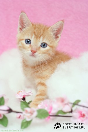 �������� ���� ������ :)