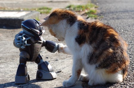 ������� �����? :)