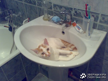 ��� �������! :)