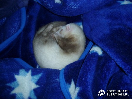 ��������� ������ :)