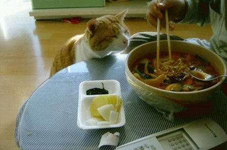 � �������� ��� �����? ;)