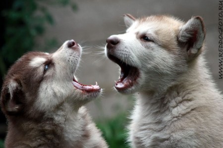 ���������� :)