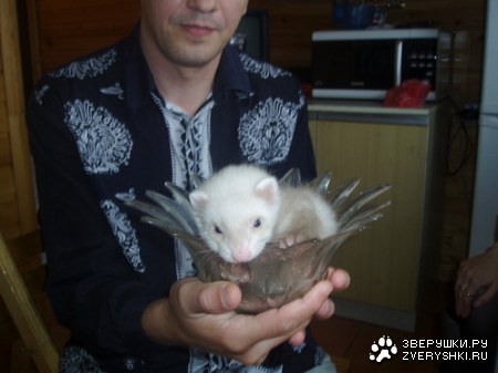 �������� ������� :)