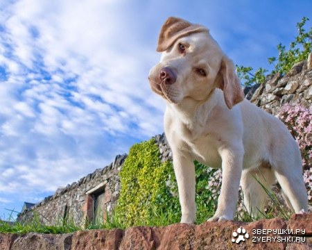 ���������� :)