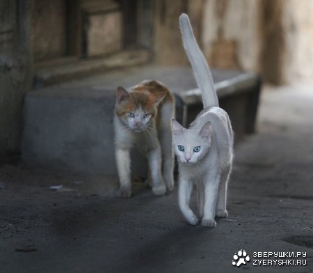 ������� � ��������� :)