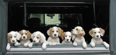 �� ����, ����, ����... :)