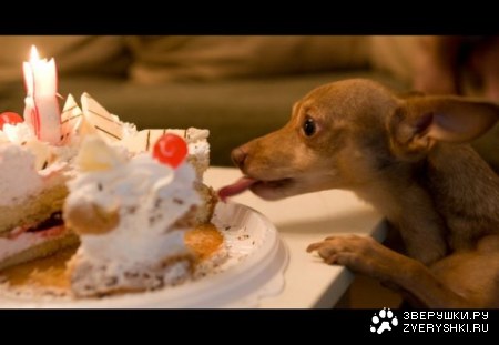 ���������� ;)