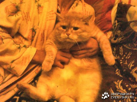 ����� �����  ����� ���������� :)