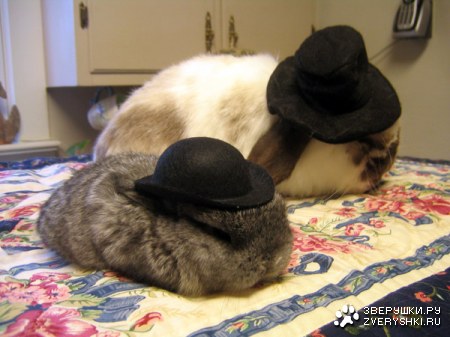 ������ ������� ;)