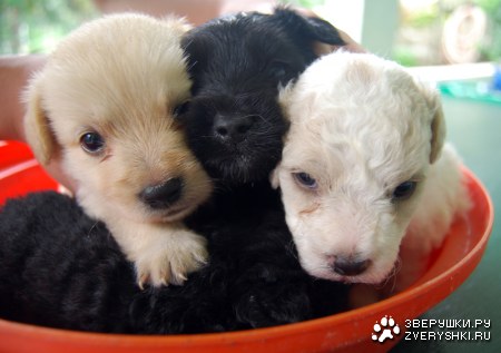 ������� ���� ;)